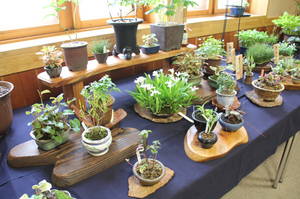 anderusenkouen 033.jpg